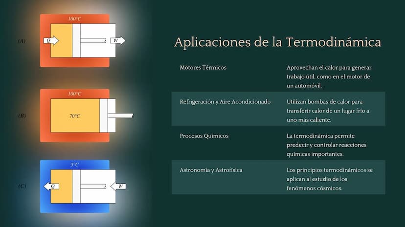 جارجا
ENERGY
PRODUCERS:
plants
L
DECOMPOSERS:
fungi, bacteria, worms
HEAT
CONSUMERS:
animals
la Termodinámica
La termodinámica es la rama de