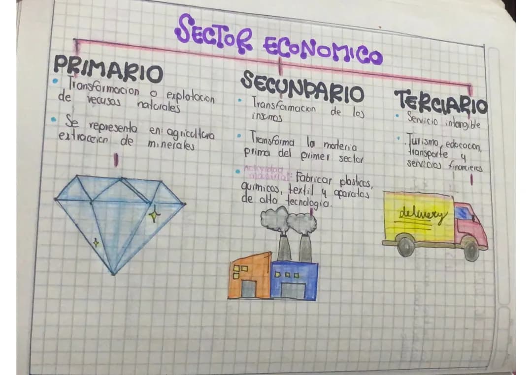 Todo Sobre los Sectores Primario, Secundario y Terciario: Ejemplos y Características