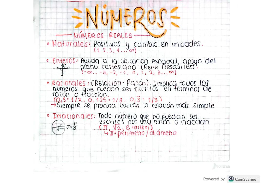 CLASIFICACIÓN Y JERARQUÍA DE LOS NÚMEROS