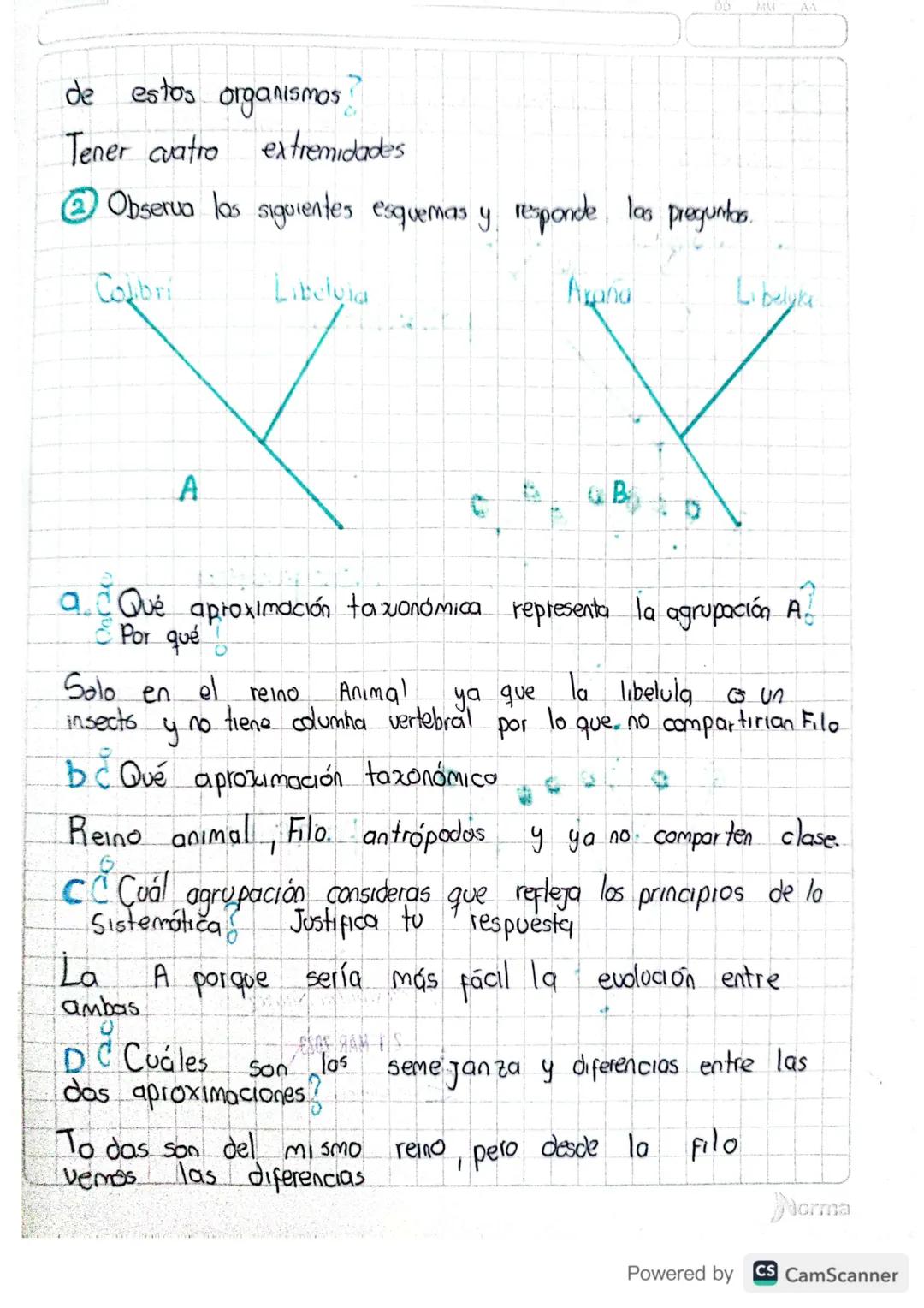 ACTIVIDAD
①. Observa el siguiente dadograma e interpreta bo retociones
evoluhuas
de
103
animales
Salamandra Zanguella Topo Murcielago Mono T