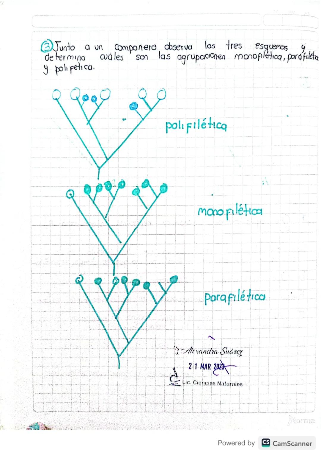 ACTIVIDAD
①. Observa el siguiente dadograma e interpreta bo retociones
evoluhuas
de
103
animales
Salamandra Zanguella Topo Murcielago Mono T