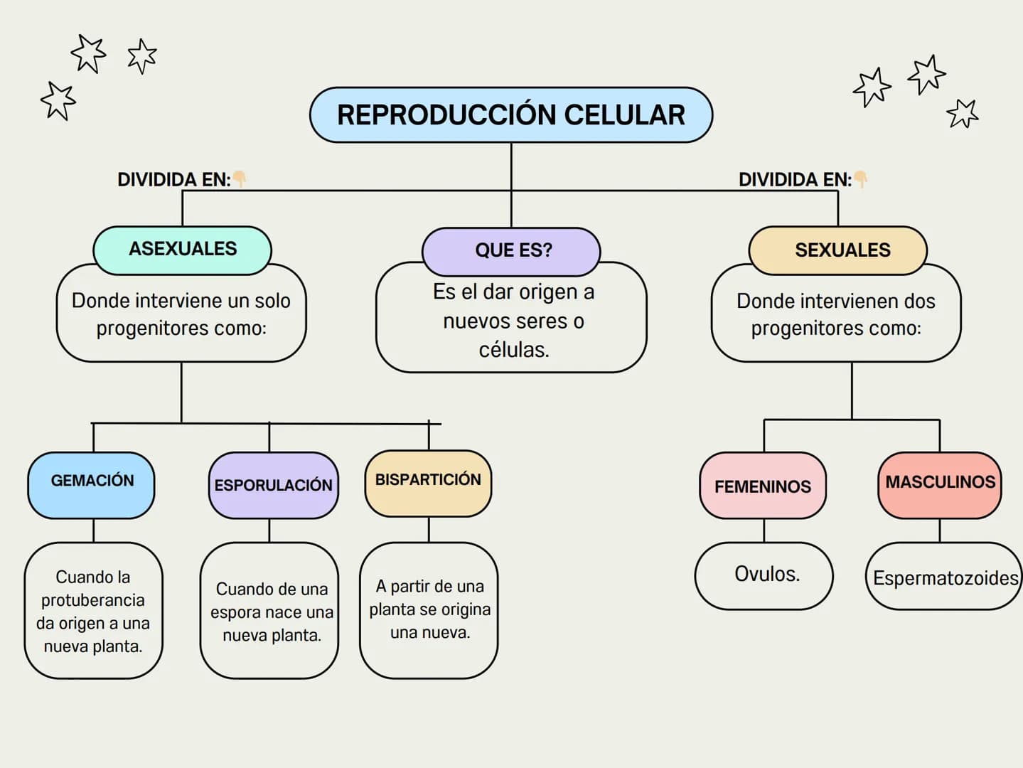 DIVIDIDA EN:
REPRODUCCIÓN CELULAR
DIVIDIDA EN:
ASEXUALES
Donde interviene un solo
progenitores como:
QUE ES?
Es el dar origen a
nuevos seres