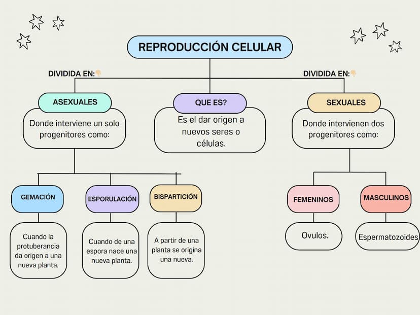 DIVIDIDA EN:
REPRODUCCIÓN CELULAR
DIVIDIDA EN:
ASEXUALES
Donde interviene un solo
progenitores como:
QUE ES?
Es el dar origen a
nuevos seres
