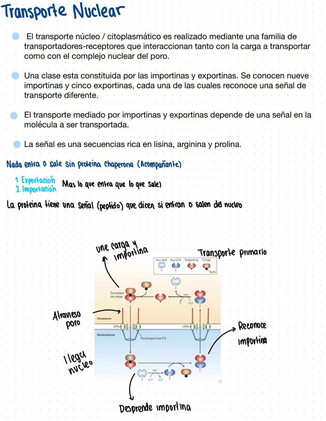 Clase 9
Núcleo
→Definición (parte central) Define las funciones
1 ubicación: En el centro (casi siempre)
Hacen comunicación
Tiene 2 bicapas 
