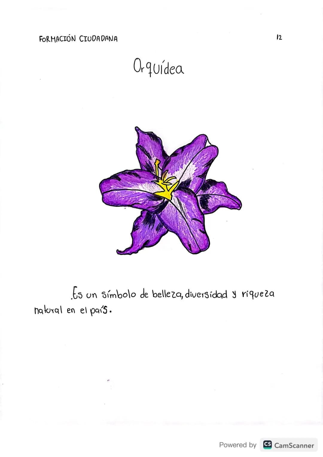 FORMACIÓN CIUDADANA
Orquídea
Es
un símbolo de belleza, diversidad y riqueza
natural en el país.
12
Powered by CS CamScanner FORMACIÓN CIUDAD