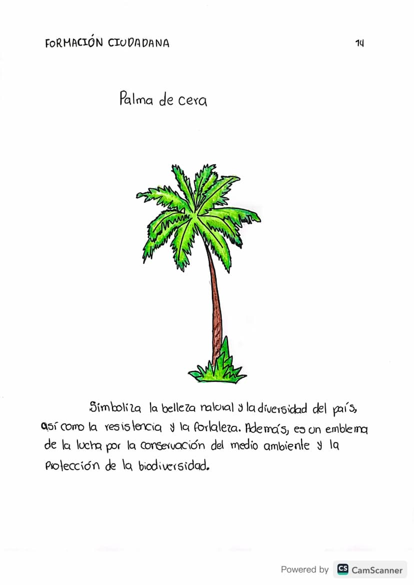 FORMACIÓN CIUDADANA
Orquídea
Es
un símbolo de belleza, diversidad y riqueza
natural en el país.
12
Powered by CS CamScanner FORMACIÓN CIUDAD