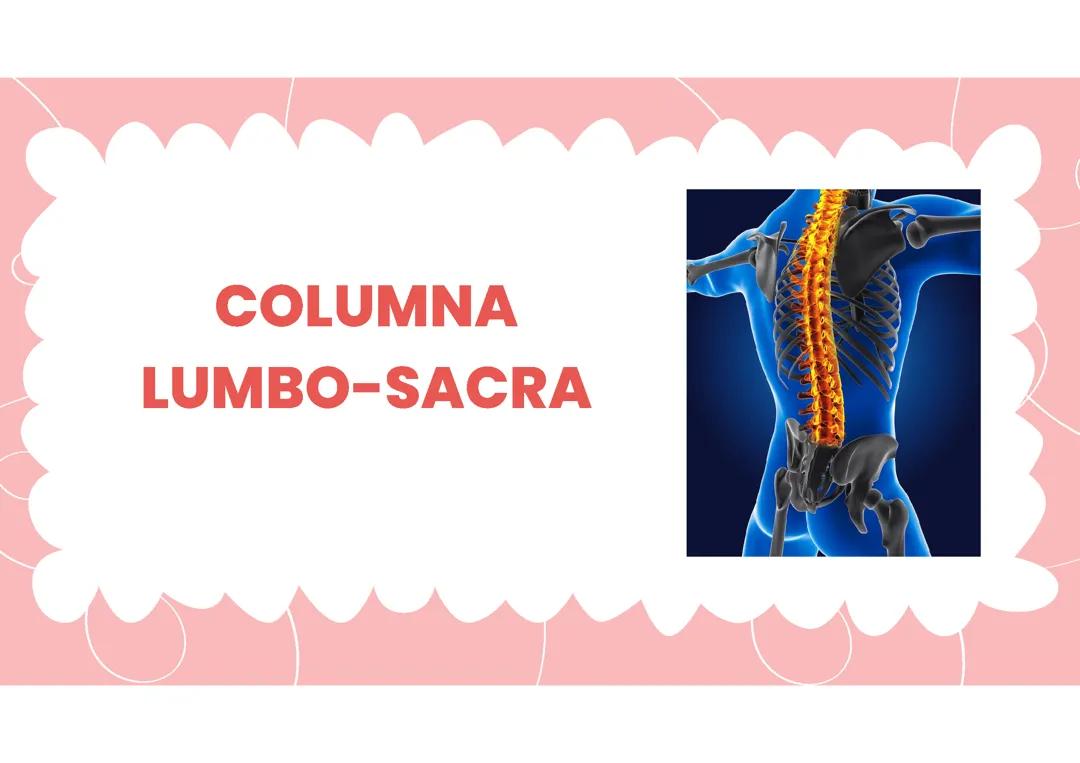 Columna Lumbo-Sacra