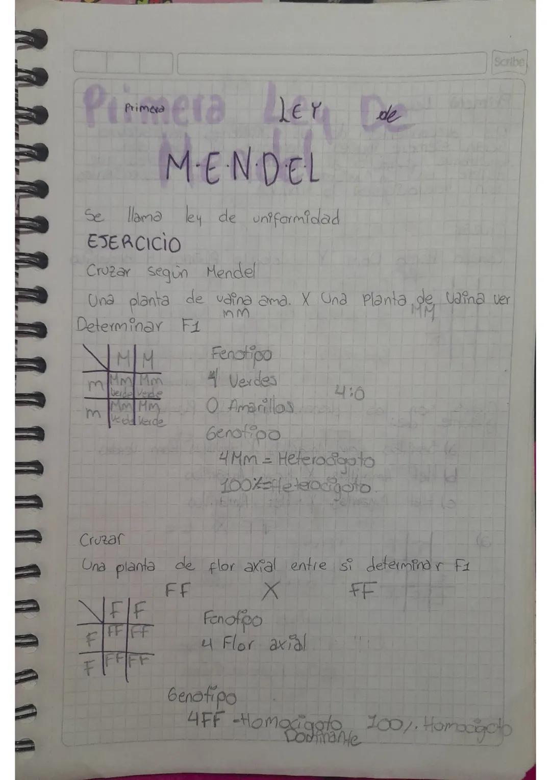 Primera ley de mendel