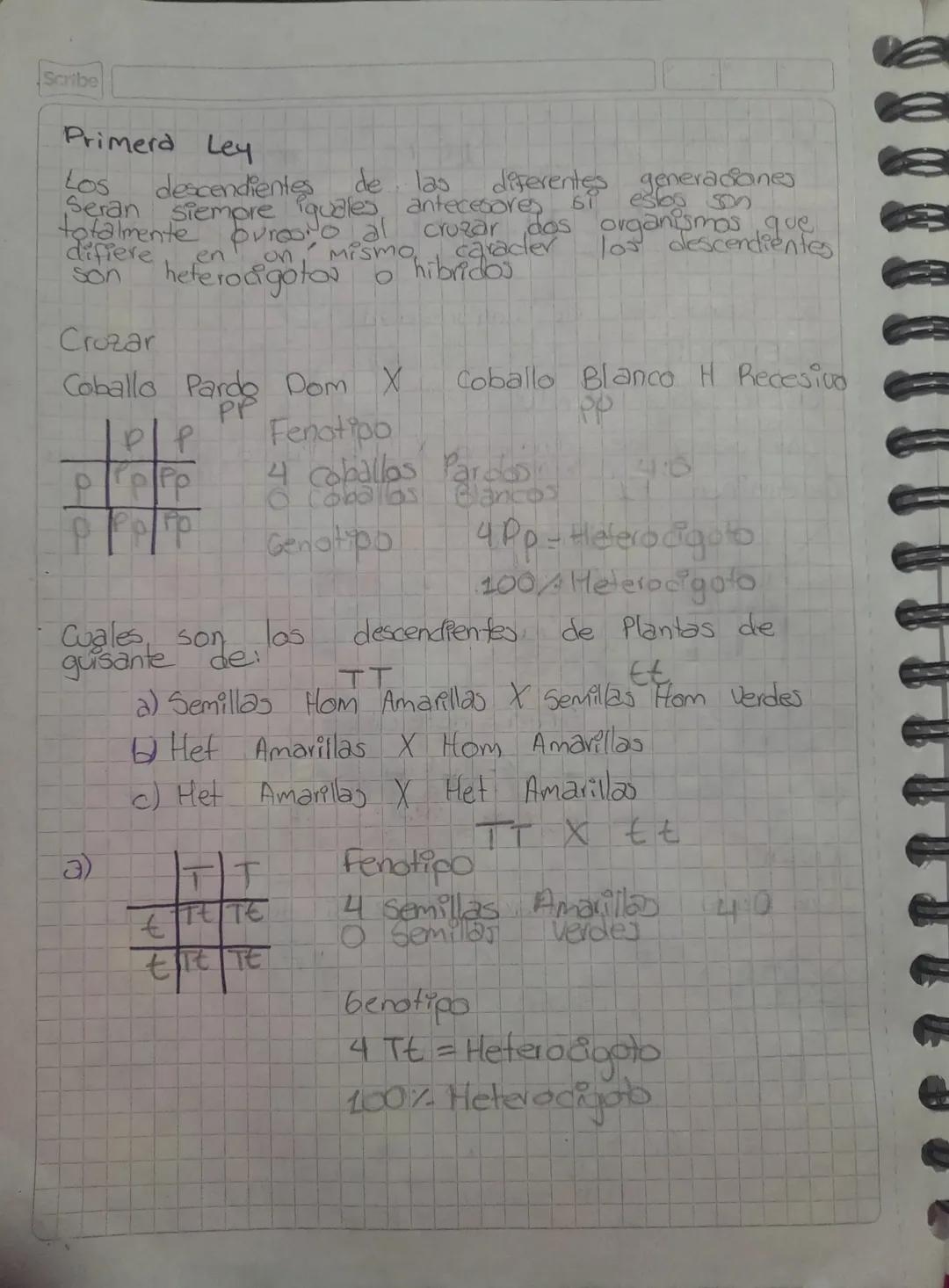Scribe
LEY
de
Primera Ley De
MENDEL
Se
llama ley de uniformidad
EJERCICIO
Cruzar segun Mendel
Una planta de vaina ama. X Una Planta de vaina