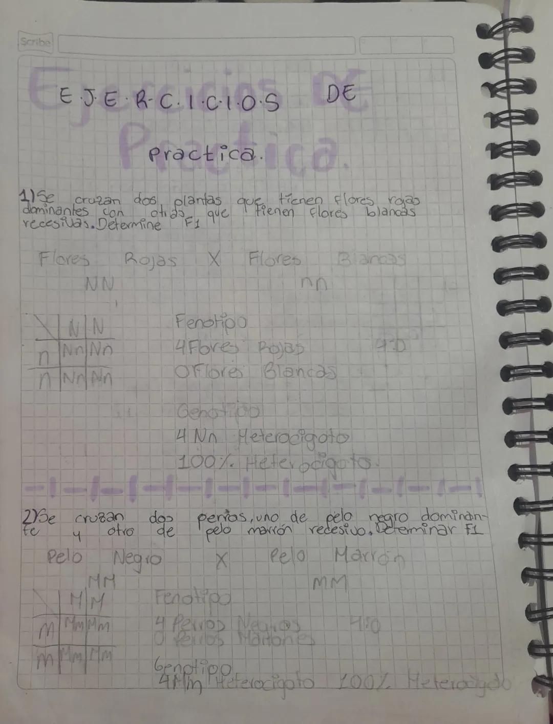 Scribe
LEY
de
Primera Ley De
MENDEL
Se
llama ley de uniformidad
EJERCICIO
Cruzar segun Mendel
Una planta de vaina ama. X Una Planta de vaina