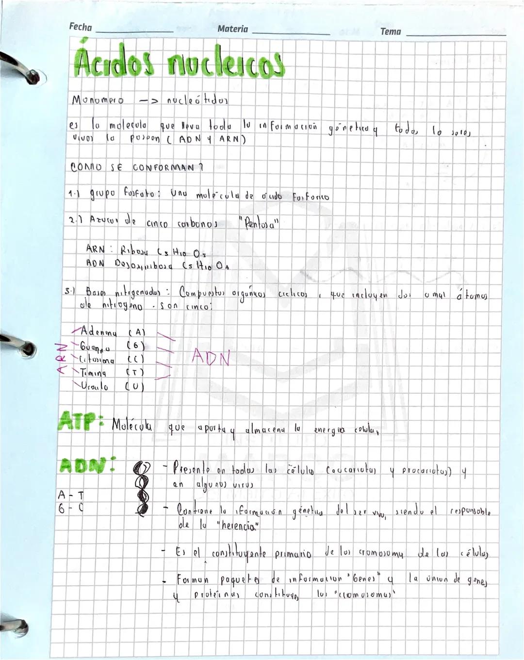 Fecha
Materia
Tema
# Ácidos nucleicos

Monompro -> nucleótidos

es la molecula que leva toolu lu información gönetics y todo, lo solo,
Vivos