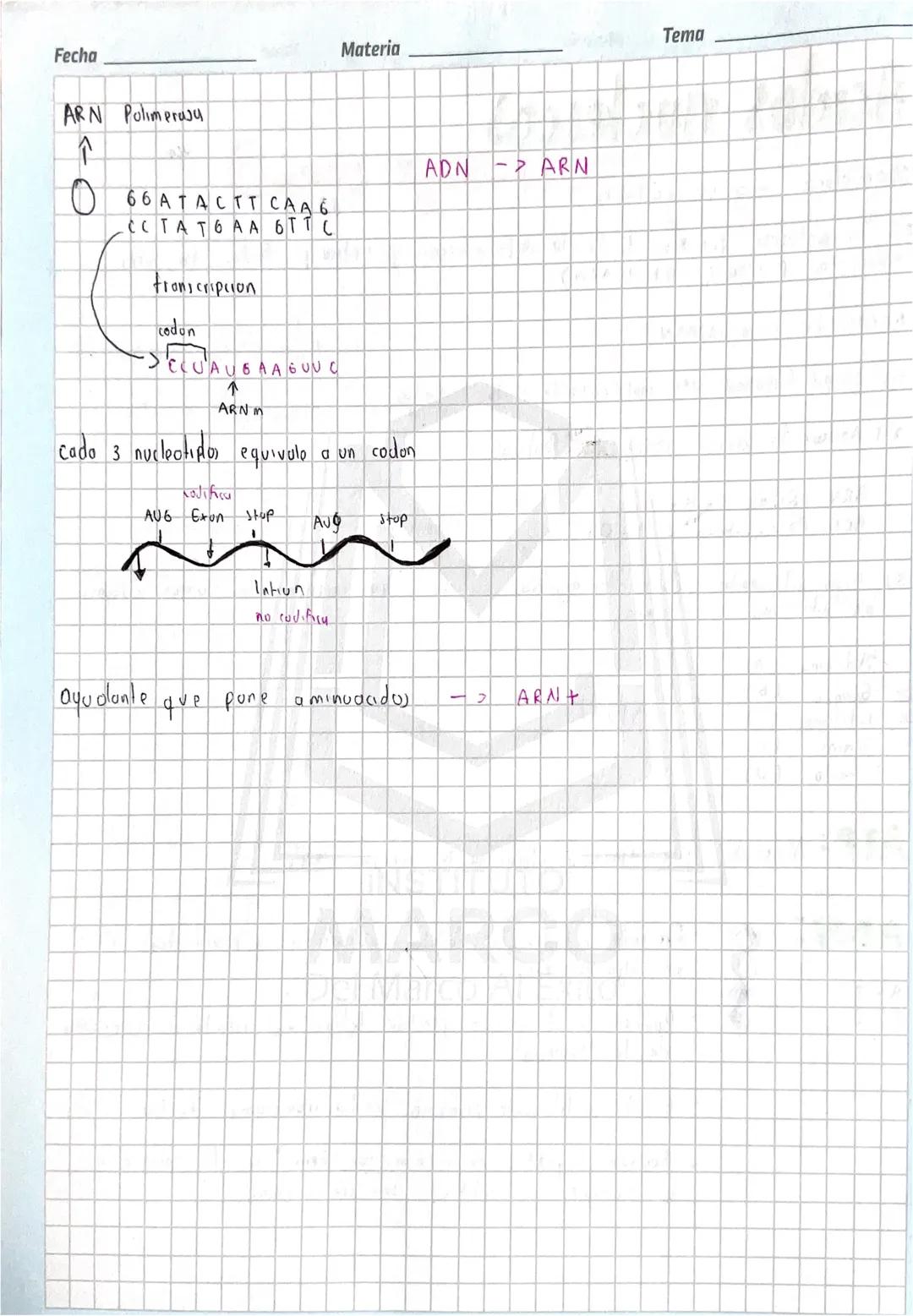 Fecha
Materia
Tema
# Ácidos nucleicos

Monompro -> nucleótidos

es la molecula que leva toolu lu información gönetics y todo, lo solo,
Vivos