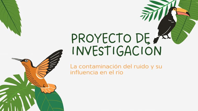 PROYECTO DE
INVESTIGACION
La contaminación del ruido y su
influencia en el río
3
3 OBJETIVOS GENERALES
•
Evaluar y cuantificar el nivel
de c