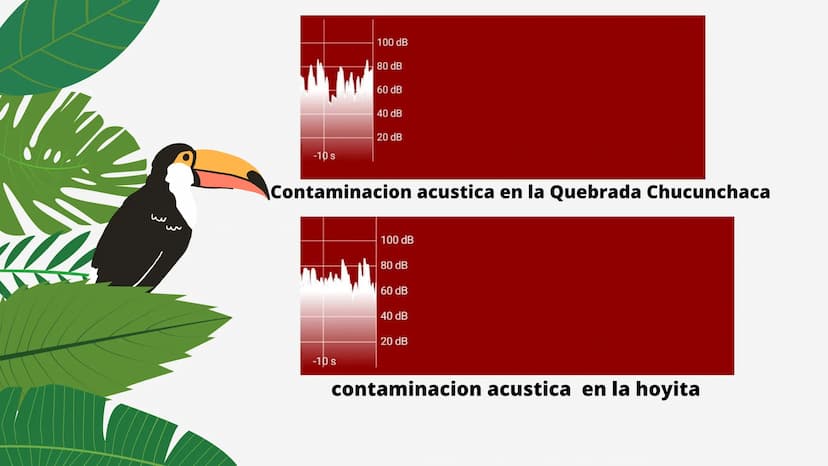 PROYECTO DE
INVESTIGACION
La contaminación del ruido y su
influencia en el río
3
3 OBJETIVOS GENERALES
•
Evaluar y cuantificar el nivel
de c
