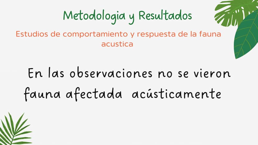 PROYECTO DE
INVESTIGACION
La contaminación del ruido y su
influencia en el río
3
3 OBJETIVOS GENERALES
•
Evaluar y cuantificar el nivel
de c