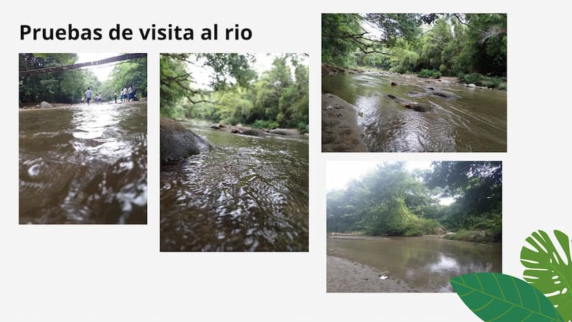 PROYECTO DE
INVESTIGACION
La contaminación del ruido y su
influencia en el río
3
3 OBJETIVOS GENERALES
•
Evaluar y cuantificar el nivel
de c