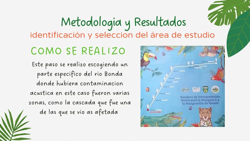 PROYECTO DE
INVESTIGACION
La contaminación del ruido y su
influencia en el río
3
3 OBJETIVOS GENERALES
•
Evaluar y cuantificar el nivel
de c
