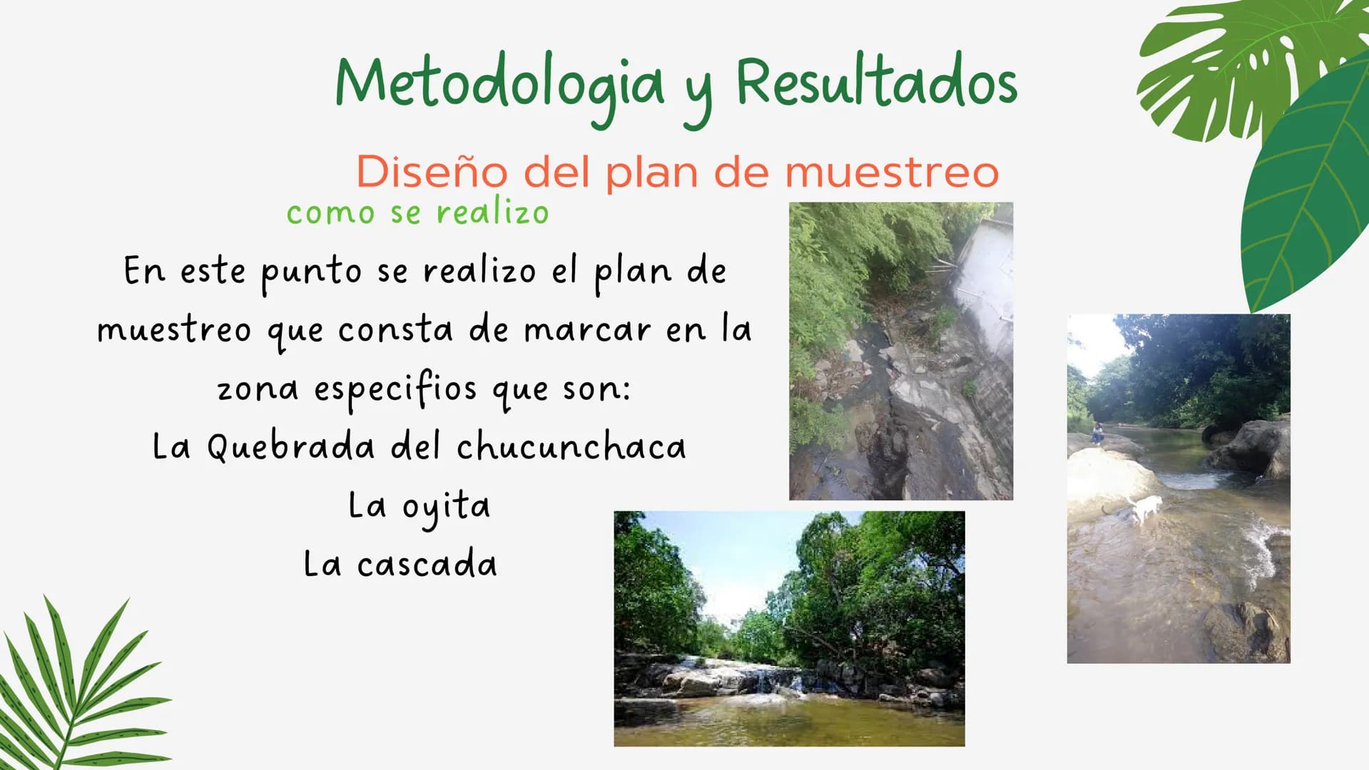 PROYECTO DE
INVESTIGACION
La contaminación del ruido y su
influencia en el río
3
3 OBJETIVOS GENERALES
•
Evaluar y cuantificar el nivel
de c