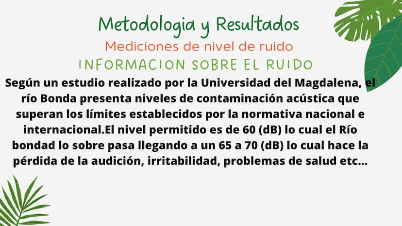 PROYECTO DE
INVESTIGACION
La contaminación del ruido y su
influencia en el río
3
3 OBJETIVOS GENERALES
•
Evaluar y cuantificar el nivel
de c