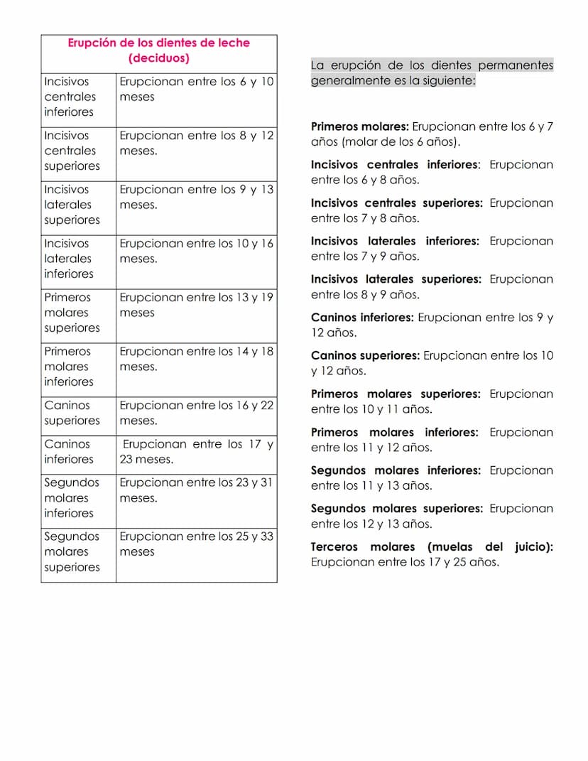 ANATOMIA
dental
Definición
La anatomía dental es la rama de la
anatomía que estudia la estructura,
forma y disposición de los dientes, así
c