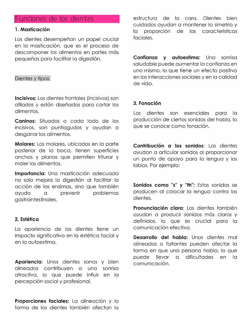 ANATOMIA
dental
Definición
La anatomía dental es la rama de la
anatomía que estudia la estructura,
forma y disposición de los dientes, así
c