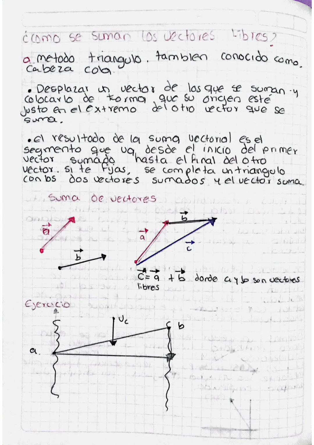# INTERACCION CON EL ESPACO VECTORIAL

¿Que es un vector.?

En fisica y matematicas, un vector es un segmento
de una linea recta, dotado de 