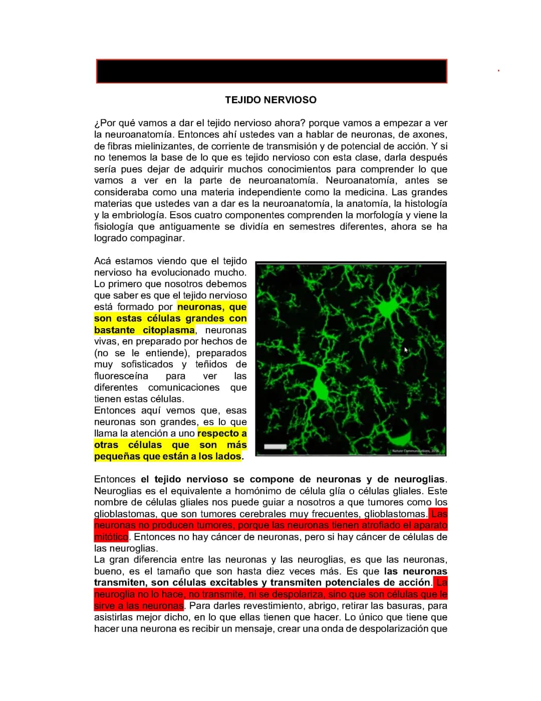 Histologia/ tejido nervioso 