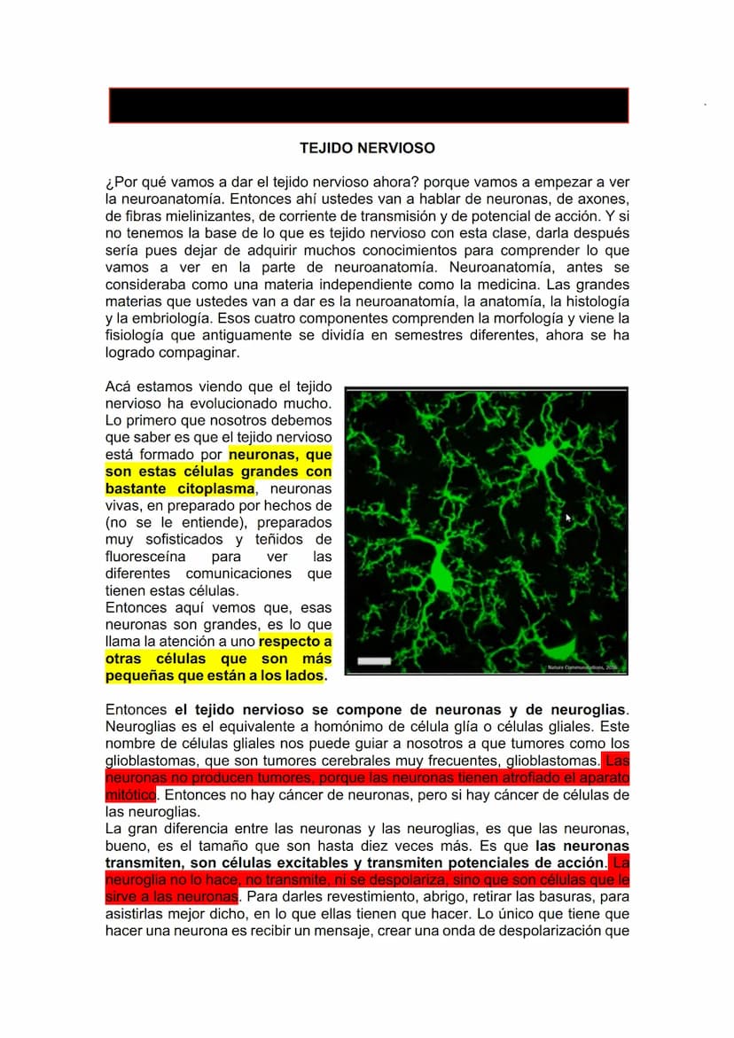 TEJIDO NERVIOSO
¿Por qué vamos a dar el tejido nervioso ahora? porque vamos a empezar a ver
la neuroanatomía. Entonces ahí ustedes van a hab