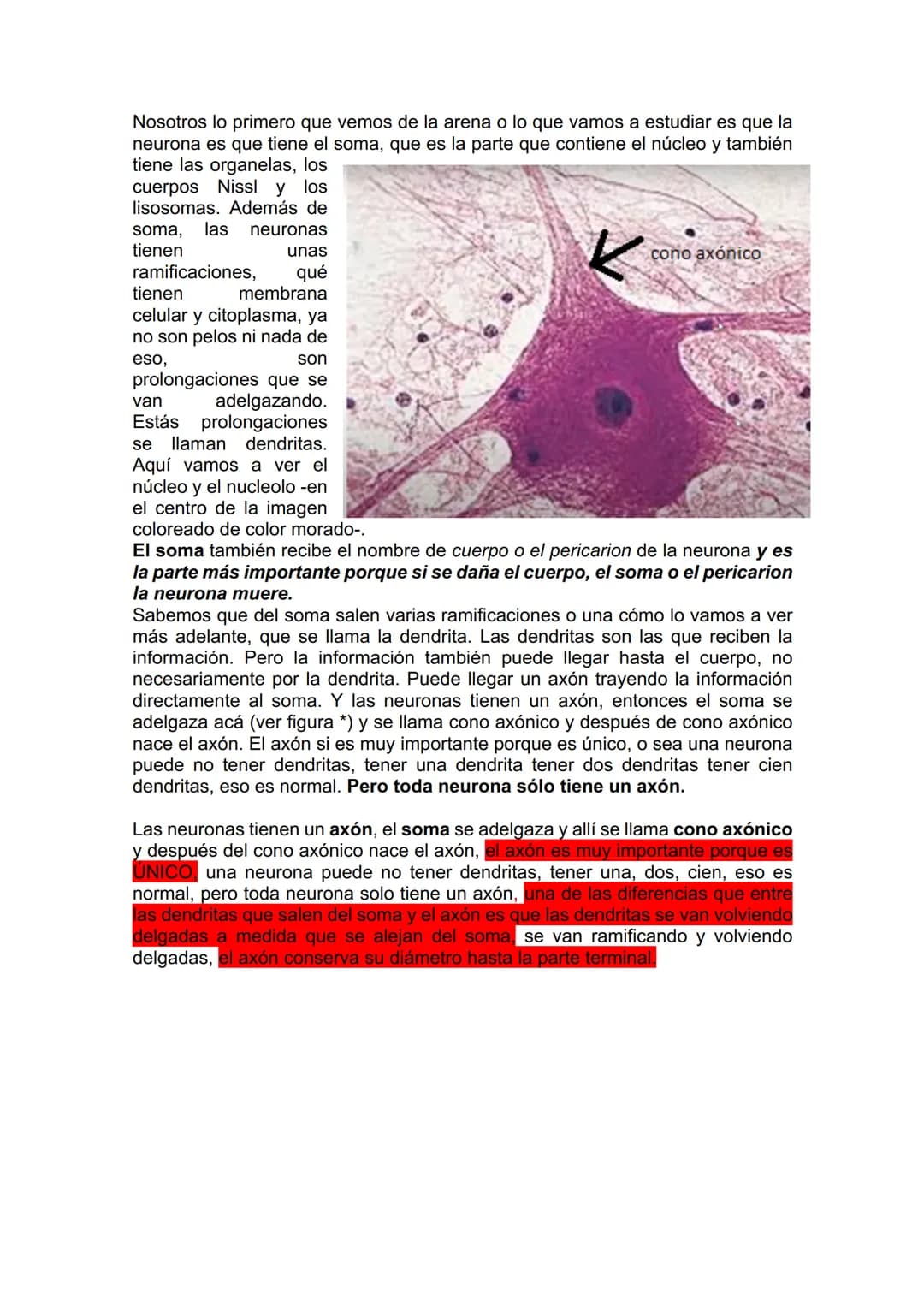 TEJIDO NERVIOSO
¿Por qué vamos a dar el tejido nervioso ahora? porque vamos a empezar a ver
la neuroanatomía. Entonces ahí ustedes van a hab