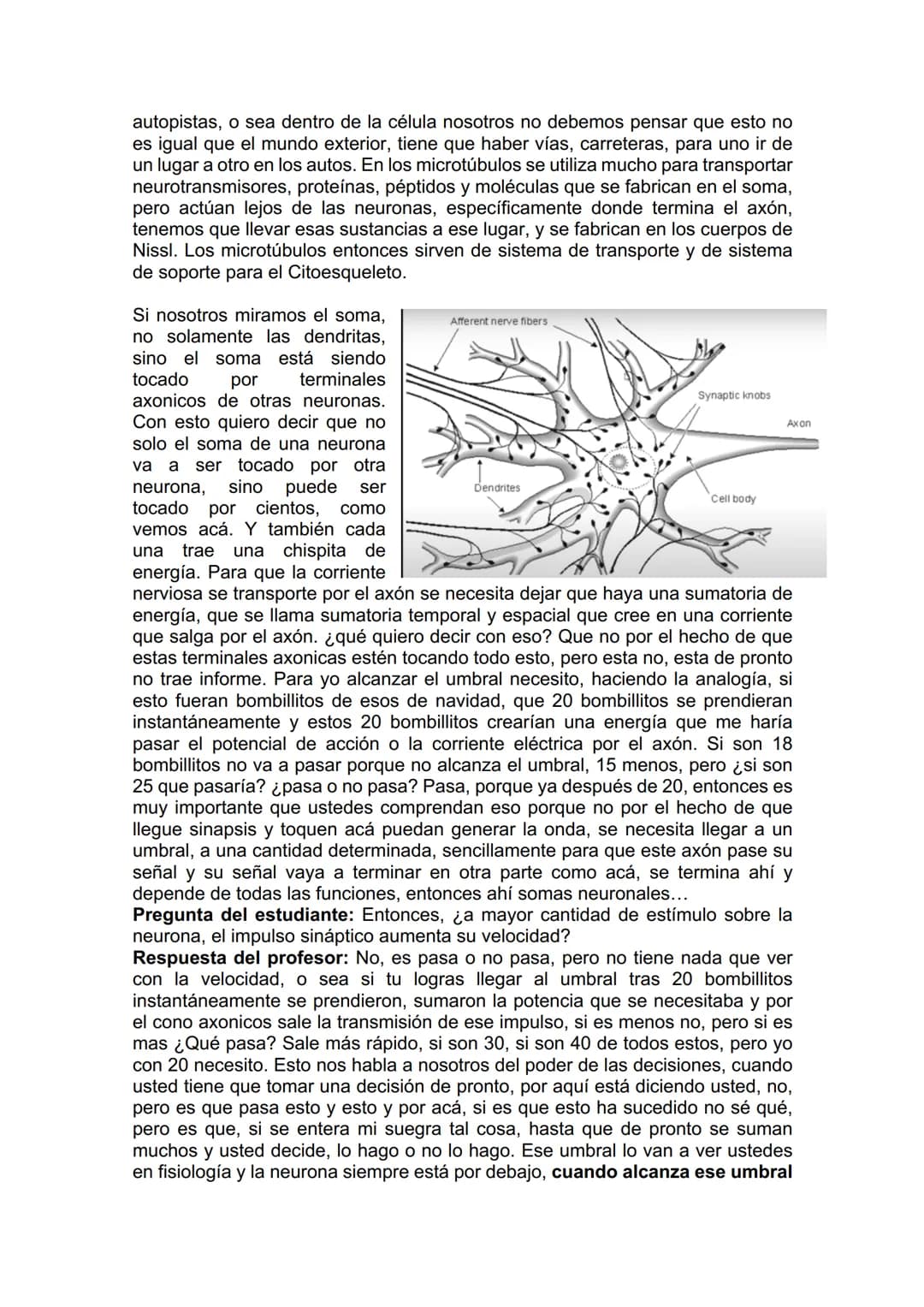 TEJIDO NERVIOSO
¿Por qué vamos a dar el tejido nervioso ahora? porque vamos a empezar a ver
la neuroanatomía. Entonces ahí ustedes van a hab