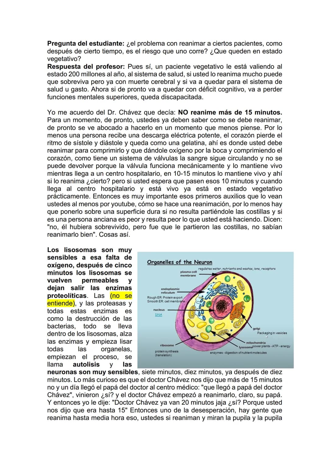 TEJIDO NERVIOSO
¿Por qué vamos a dar el tejido nervioso ahora? porque vamos a empezar a ver
la neuroanatomía. Entonces ahí ustedes van a hab