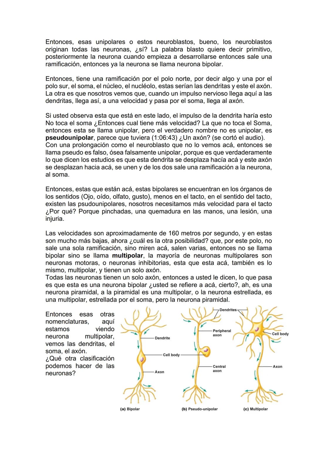 TEJIDO NERVIOSO
¿Por qué vamos a dar el tejido nervioso ahora? porque vamos a empezar a ver
la neuroanatomía. Entonces ahí ustedes van a hab