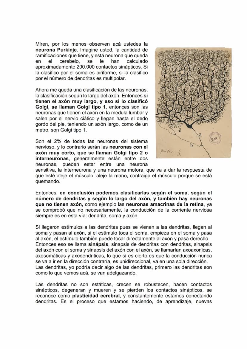 TEJIDO NERVIOSO
¿Por qué vamos a dar el tejido nervioso ahora? porque vamos a empezar a ver
la neuroanatomía. Entonces ahí ustedes van a hab