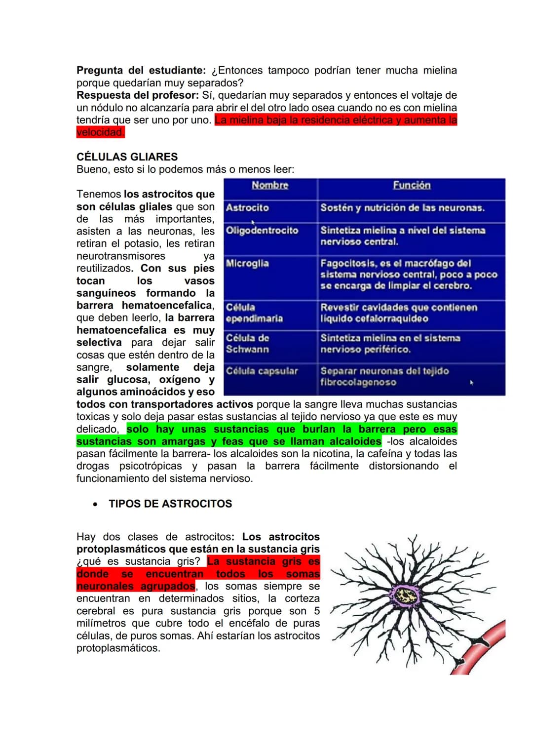 TEJIDO NERVIOSO
¿Por qué vamos a dar el tejido nervioso ahora? porque vamos a empezar a ver
la neuroanatomía. Entonces ahí ustedes van a hab