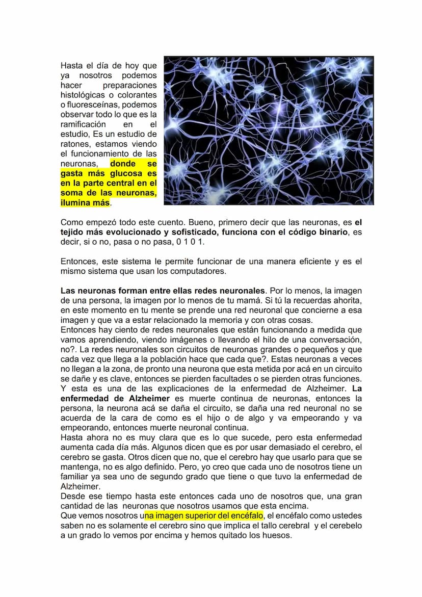 TEJIDO NERVIOSO
¿Por qué vamos a dar el tejido nervioso ahora? porque vamos a empezar a ver
la neuroanatomía. Entonces ahí ustedes van a hab