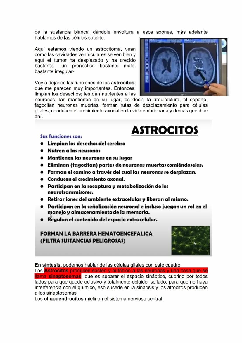 TEJIDO NERVIOSO
¿Por qué vamos a dar el tejido nervioso ahora? porque vamos a empezar a ver
la neuroanatomía. Entonces ahí ustedes van a hab