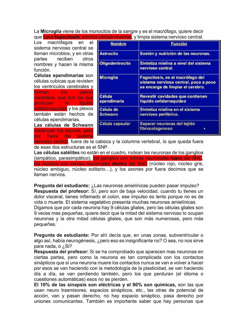 TEJIDO NERVIOSO
¿Por qué vamos a dar el tejido nervioso ahora? porque vamos a empezar a ver
la neuroanatomía. Entonces ahí ustedes van a hab