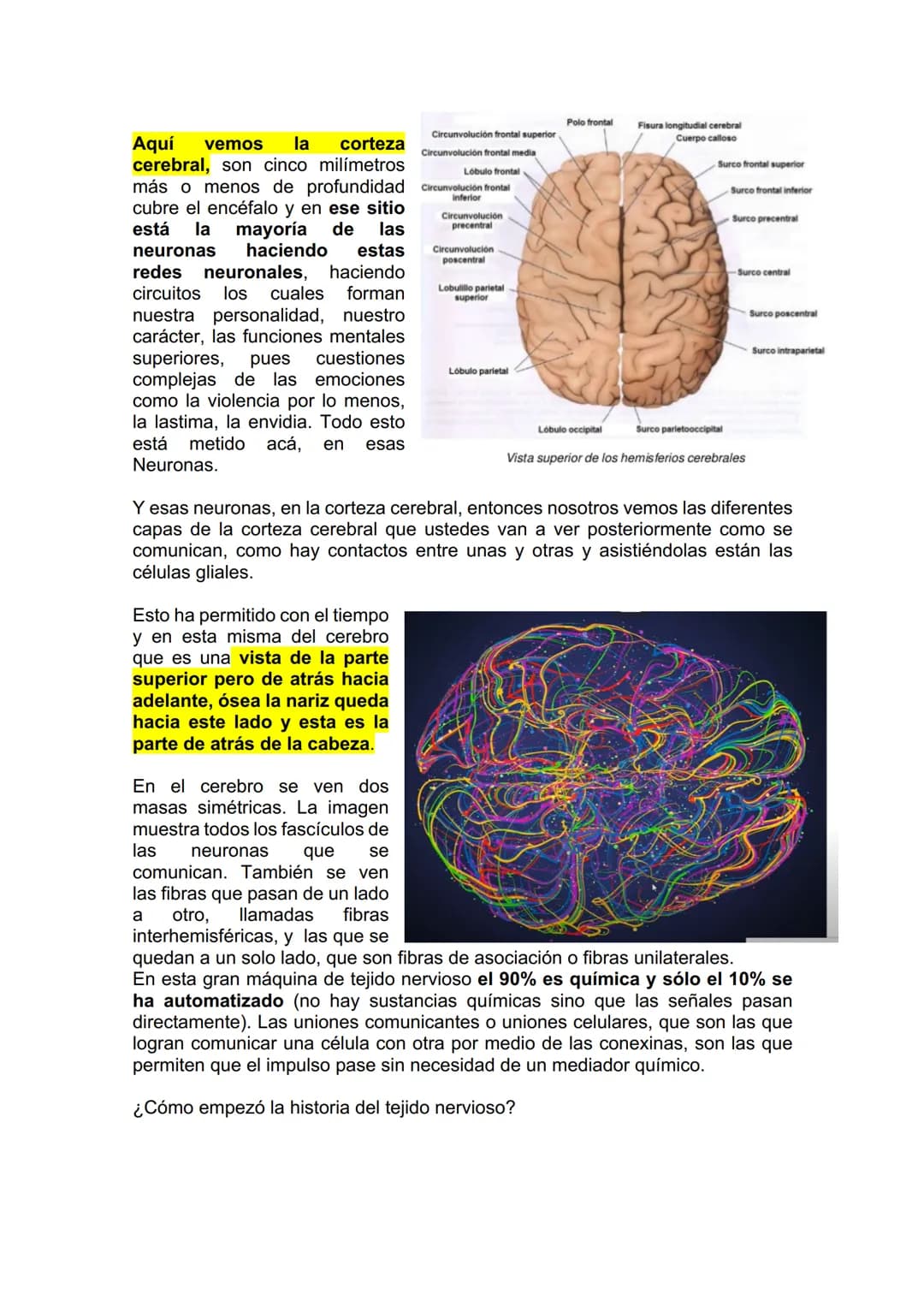 TEJIDO NERVIOSO
¿Por qué vamos a dar el tejido nervioso ahora? porque vamos a empezar a ver
la neuroanatomía. Entonces ahí ustedes van a hab
