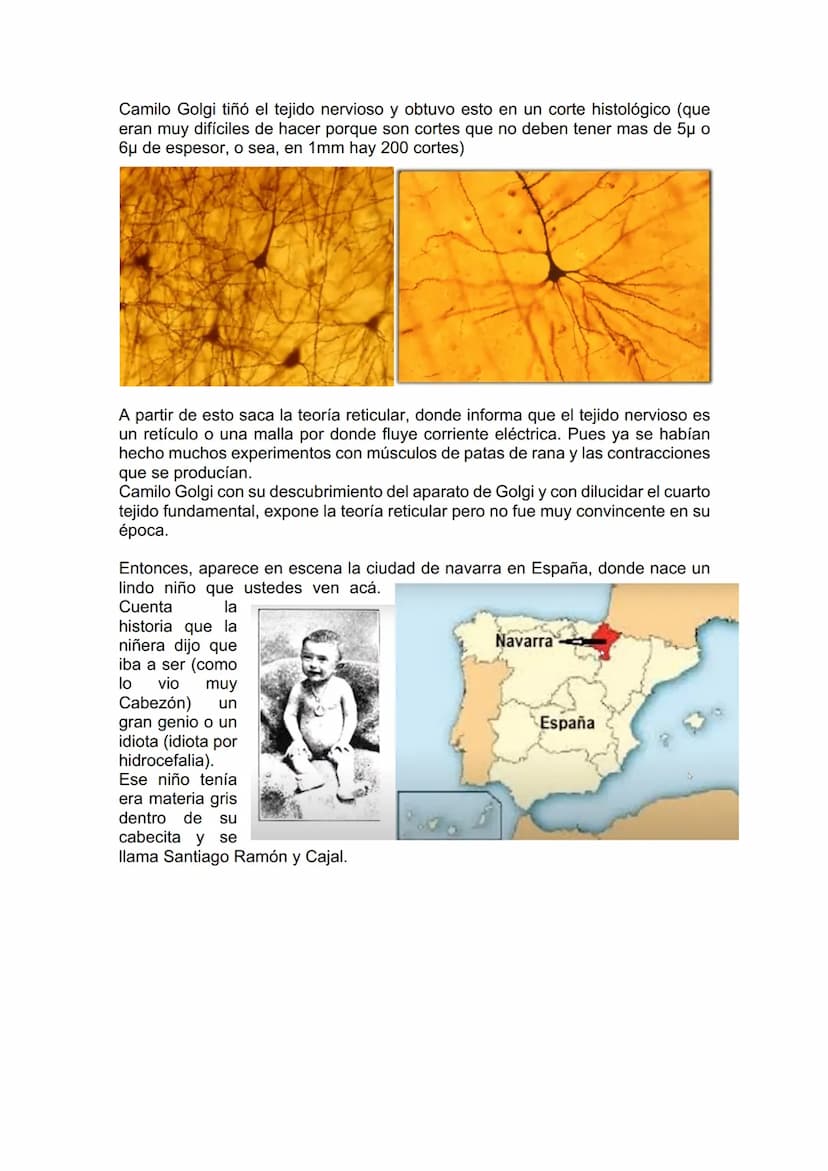 TEJIDO NERVIOSO
¿Por qué vamos a dar el tejido nervioso ahora? porque vamos a empezar a ver
la neuroanatomía. Entonces ahí ustedes van a hab