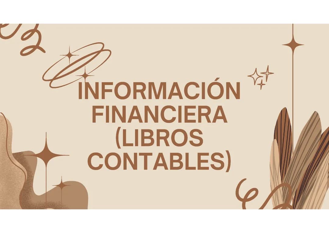 Información financiera - Generalidades de los ibros de contables 