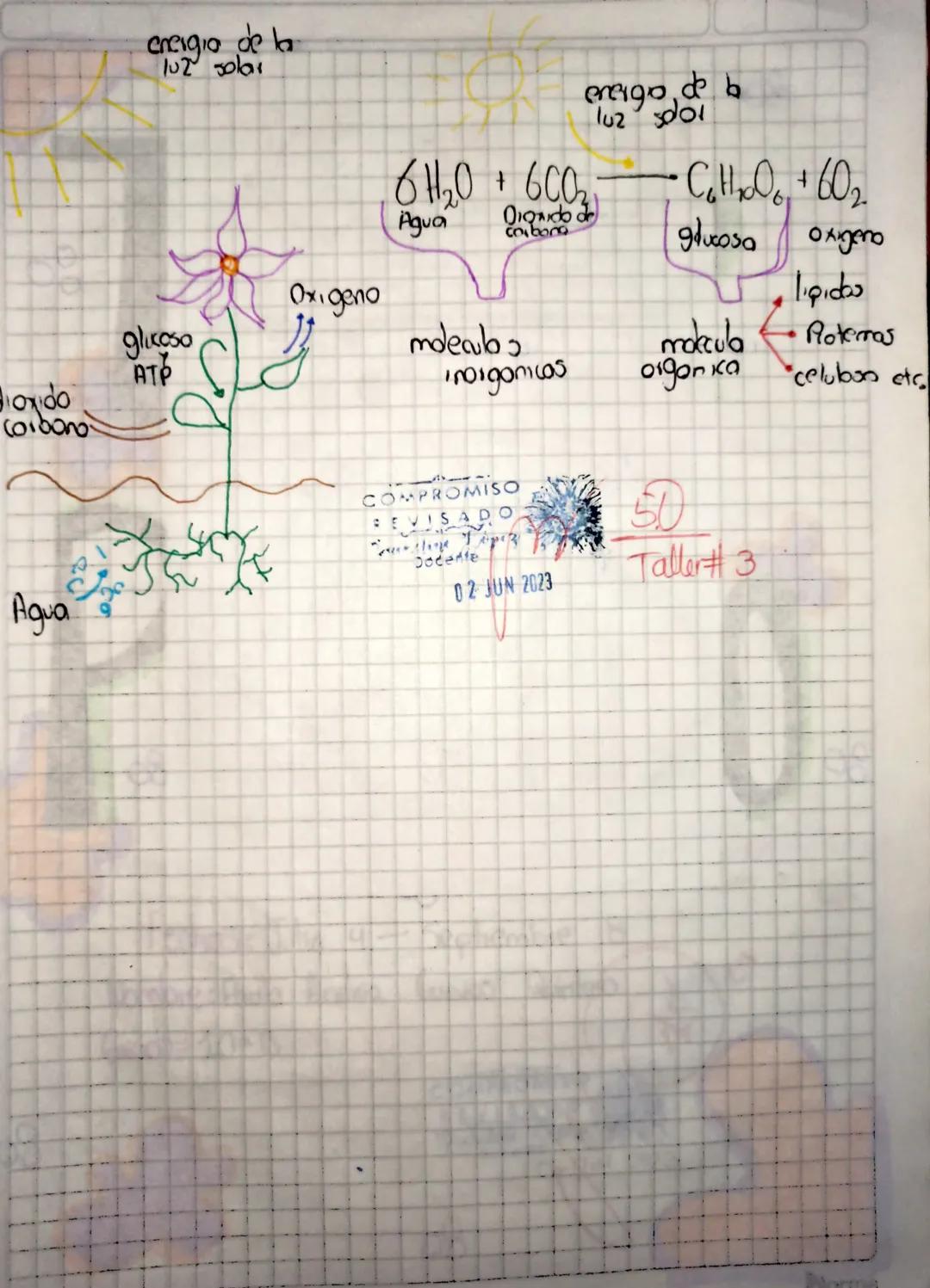 # ECUACIONES Y REACCIONES QUIMICAS

Reacciones Quimicas.

Los combios quimicas son procesas que afedon lo estructurao y
la compasicion de to