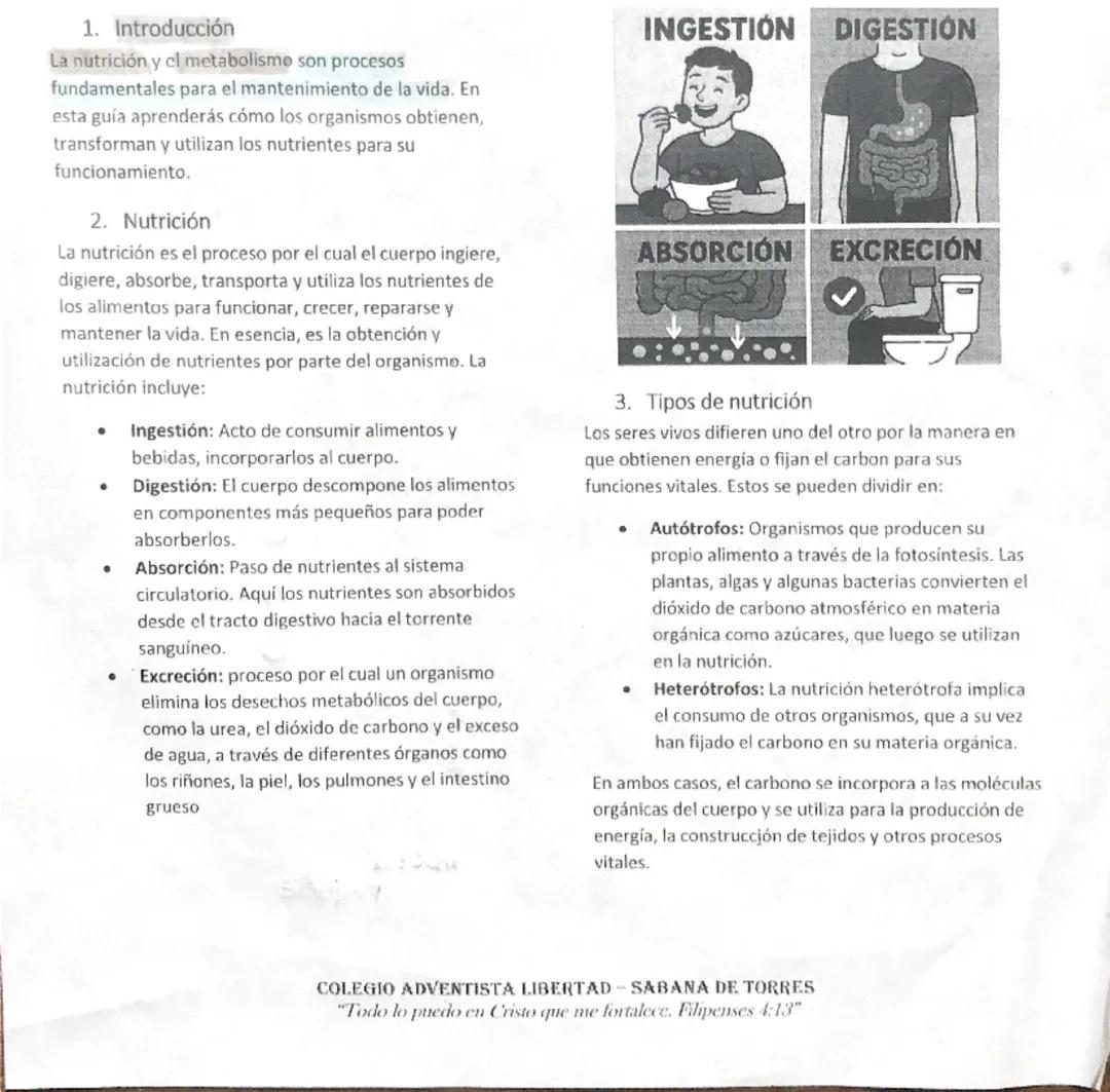 Nutrición y Metabolismo: Claves Esenciales