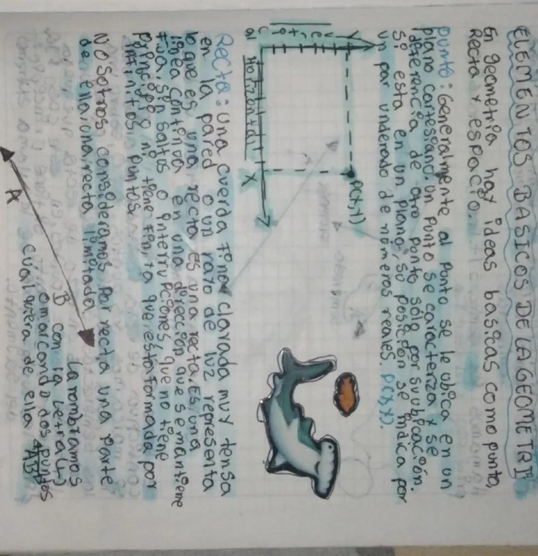 ELEMENTOS BASICOS DE LA GEOMETRI

En geometria hay ideas basicas como punto,
Recta y espacio.

Punto:
no Generalmente punto casiecte
mente a