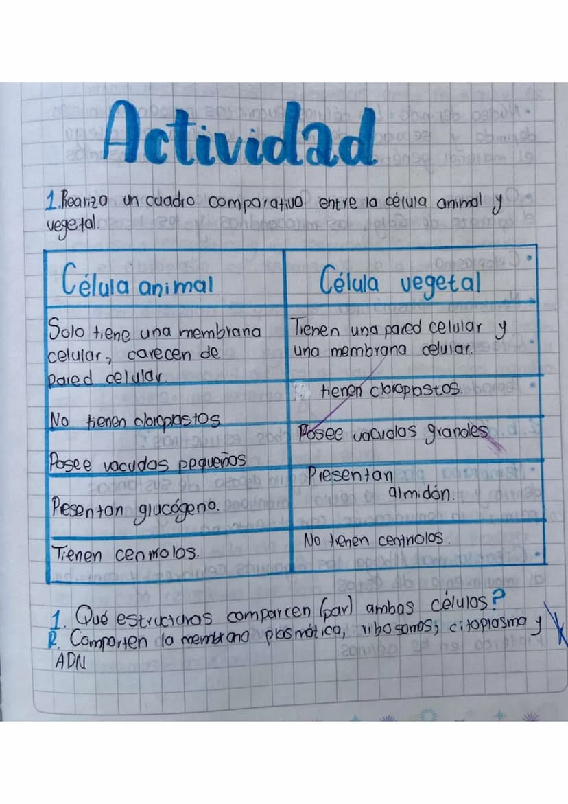 Actividad
1.heanza un cuadro comparativo entre la célula animal y
vegetal
20
Célula animal
Solo tiene una membrana
celular, carecen de
pared