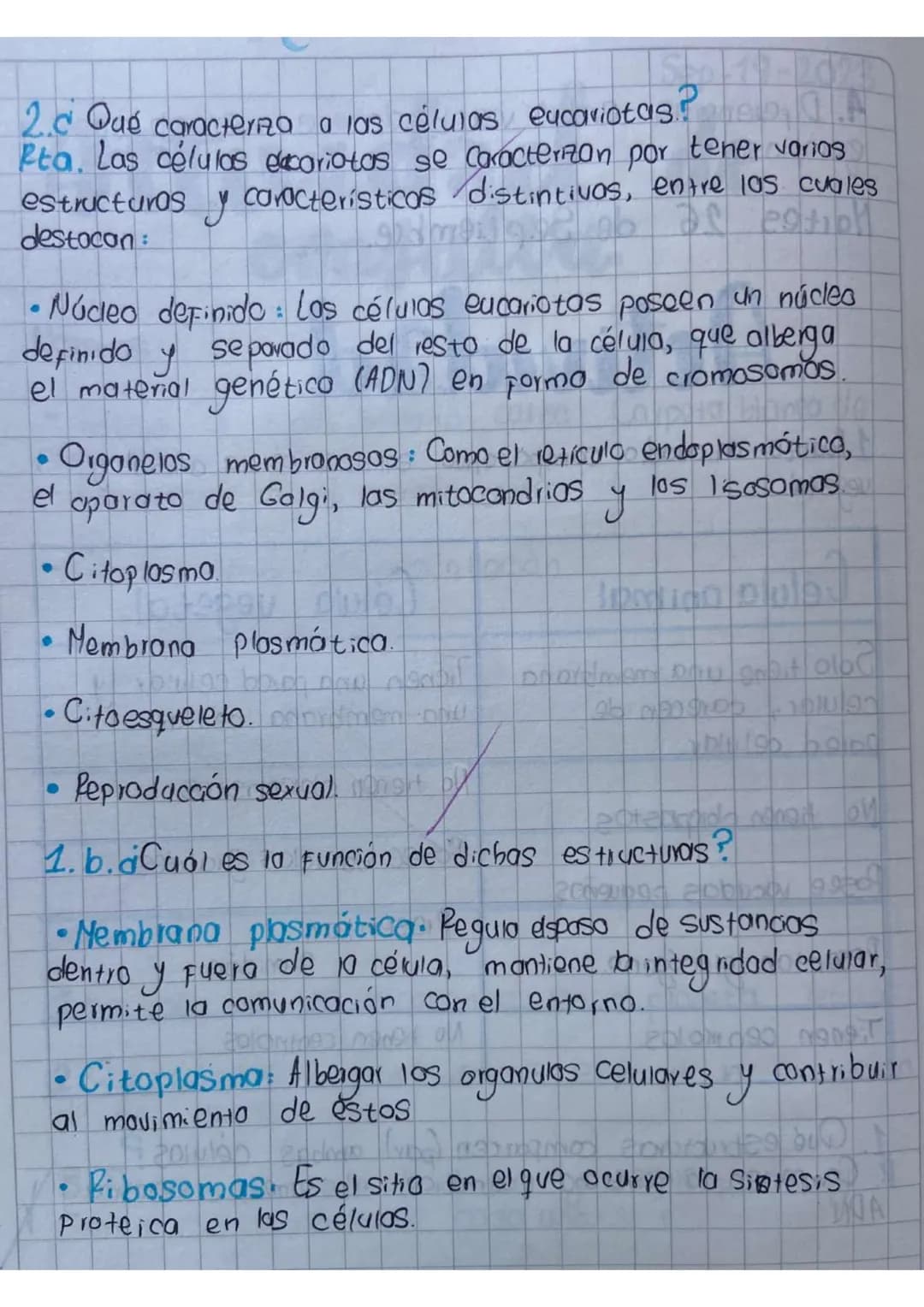 Actividad
1.heanza un cuadro comparativo entre la célula animal y
vegetal
20
Célula animal
Solo tiene una membrana
celular, carecen de
pared
