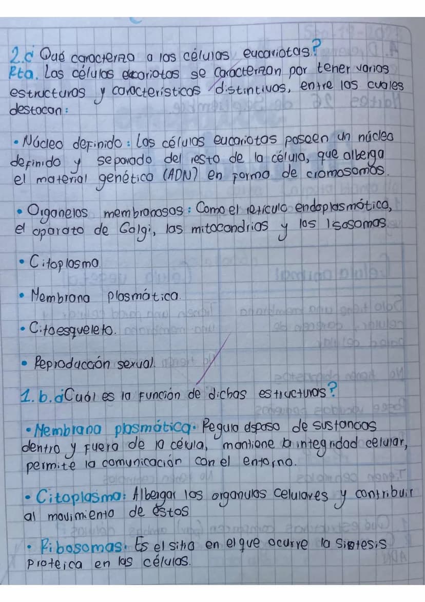 Actividad
1.heanza un cuadro comparativo entre la célula animal y
vegetal
20
Célula animal
Solo tiene una membrana
celular, carecen de
pared