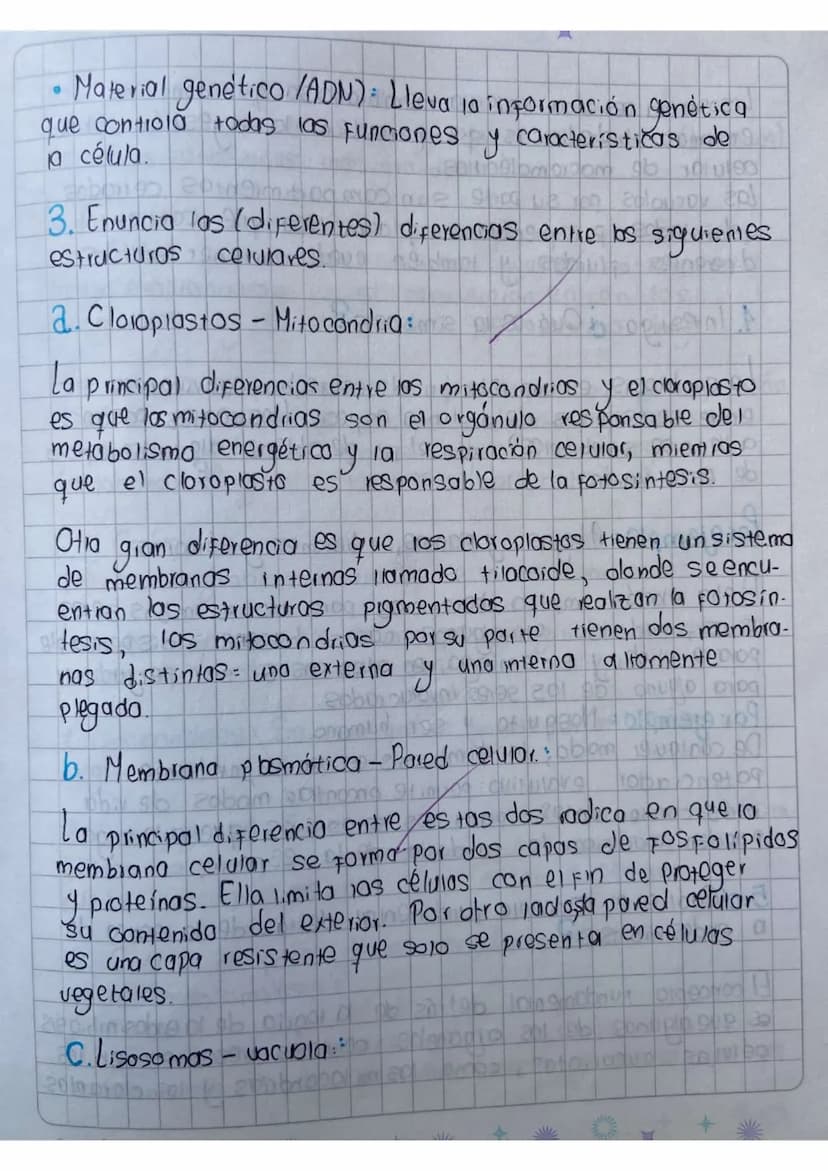 Actividad
1.heanza un cuadro comparativo entre la célula animal y
vegetal
20
Célula animal
Solo tiene una membrana
celular, carecen de
pared