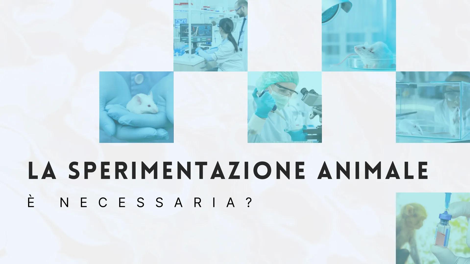 # LA SPERIMENTAZIONE ANIMALE

# È NECESSARIA? # FARMACOLOGIA

# INMUNOLOGIA

# FISIOLOGIA

# BIOLOGIA PENSI CHE LA
SPERIMENTAZIONE
ANIMALE S