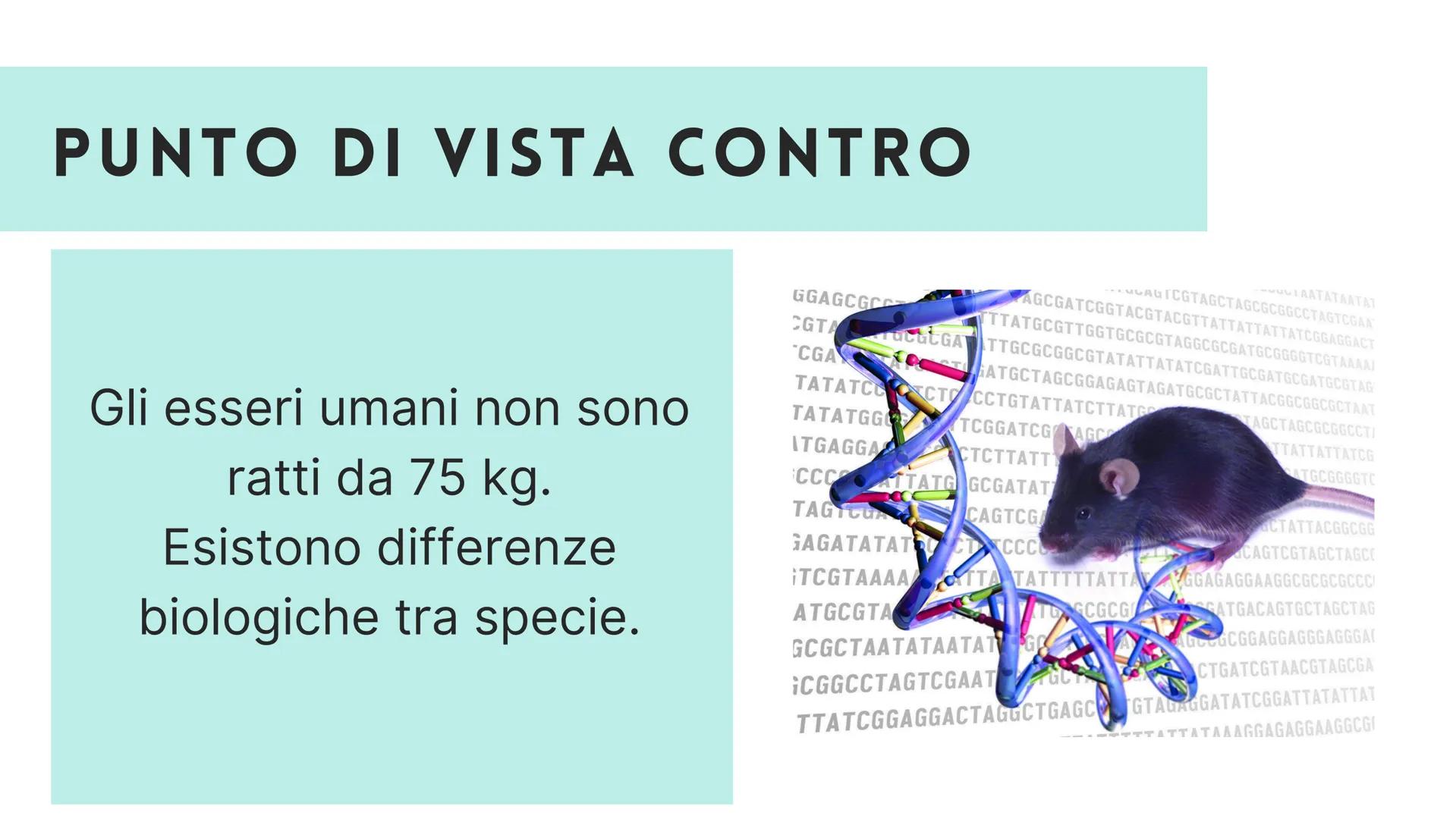 # LA SPERIMENTAZIONE ANIMALE

# È NECESSARIA? # FARMACOLOGIA

# INMUNOLOGIA

# FISIOLOGIA

# BIOLOGIA PENSI CHE LA
SPERIMENTAZIONE
ANIMALE S