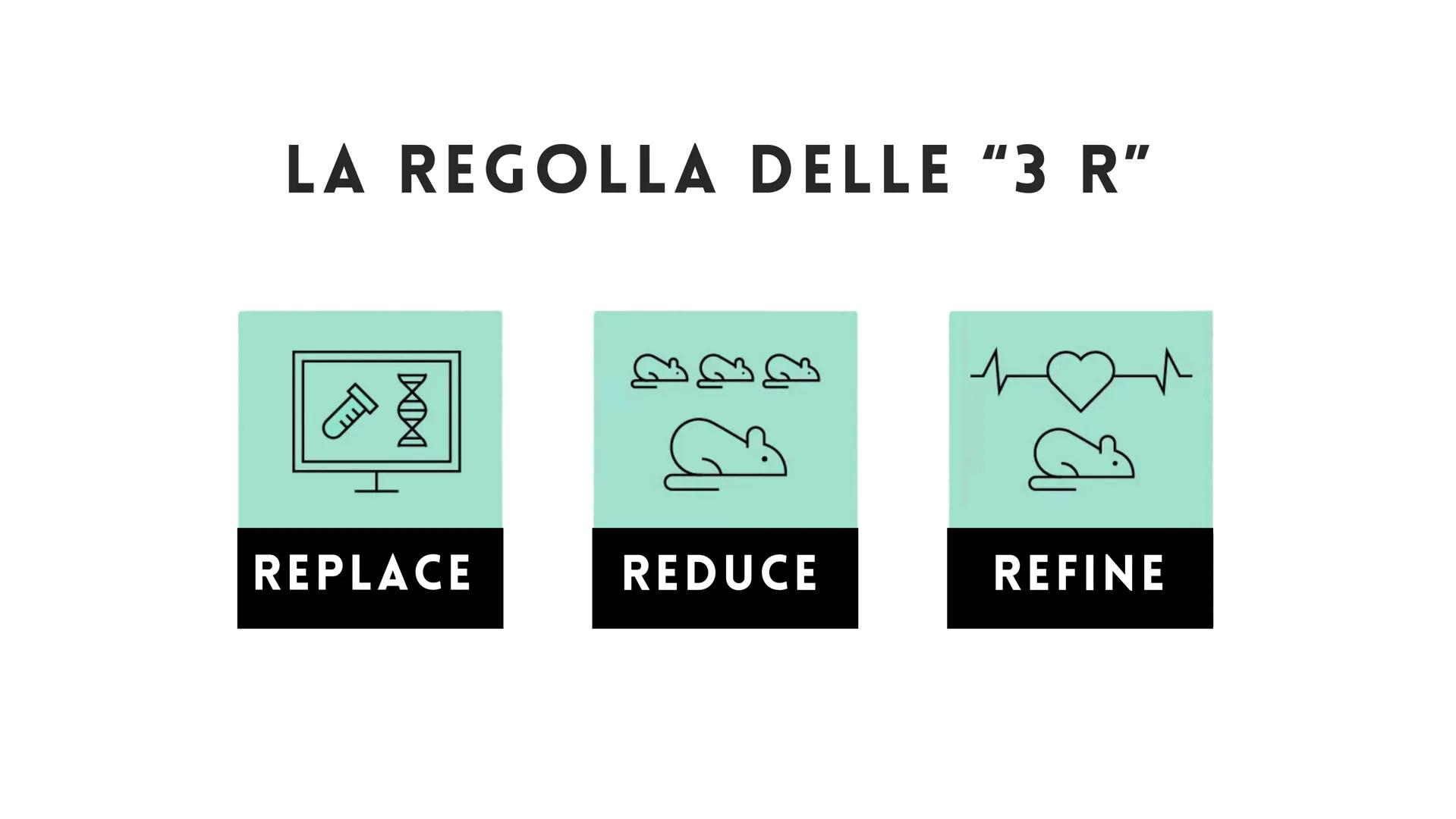 # LA SPERIMENTAZIONE ANIMALE

# È NECESSARIA? # FARMACOLOGIA

# INMUNOLOGIA

# FISIOLOGIA

# BIOLOGIA PENSI CHE LA
SPERIMENTAZIONE
ANIMALE S